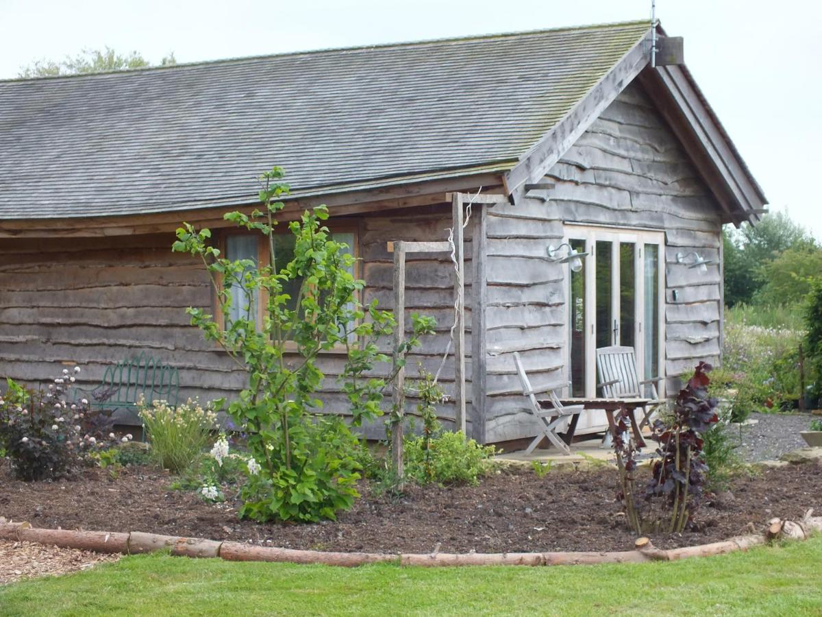 Three Oaks Nursery Чичестър Екстериор снимка