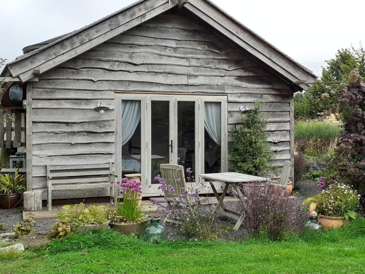 Three Oaks Nursery Чичестър Екстериор снимка