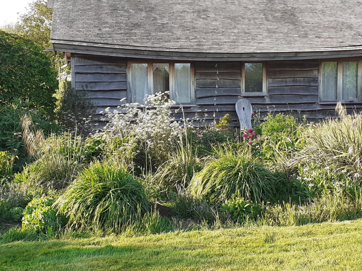 Three Oaks Nursery Чичестър Екстериор снимка