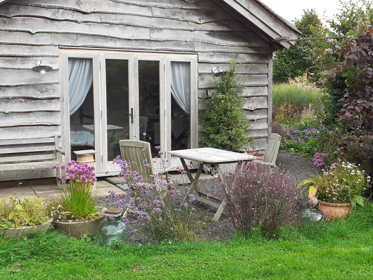 Three Oaks Nursery Чичестър Екстериор снимка